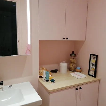 Bel Hausmannien Au Centre De Appartement